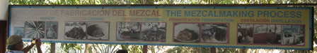 MESCAL PRODUCTION